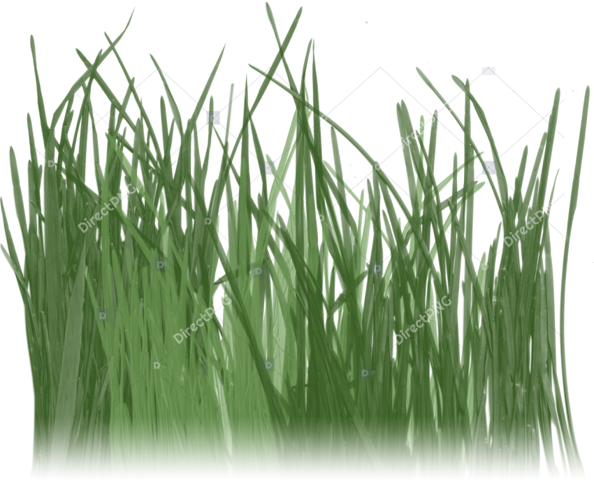 Isolated grass platform