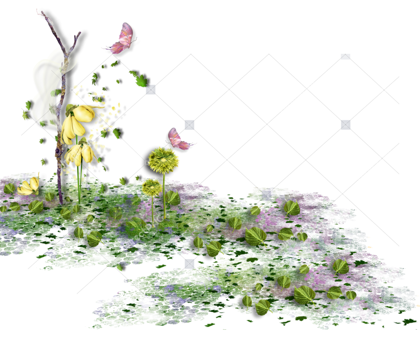 Green grass with yellow flowers