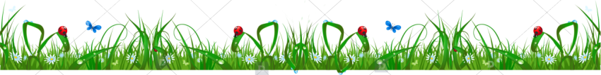Floral border grass clipart