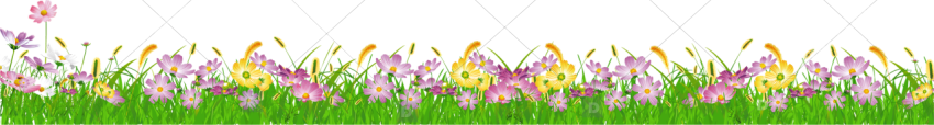 Flower border on grass ground