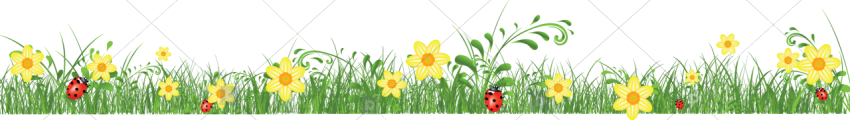 Flower petal grass overlay