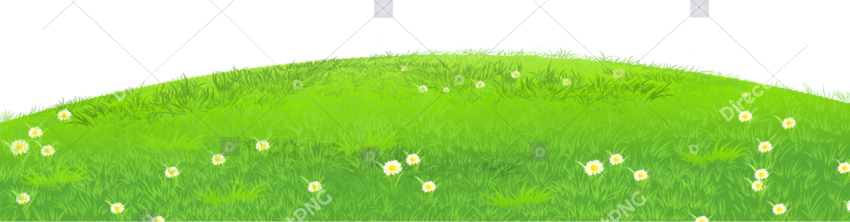 Curved hill grass landscape