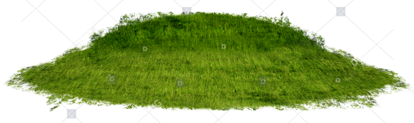 Realistic single grass clump