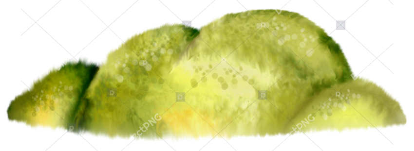 Grass bush with wildflowers