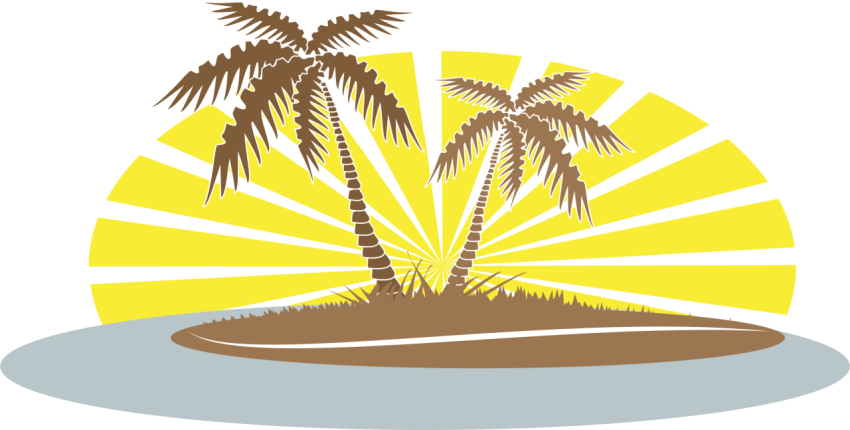 Clipart Summer Palm Tree   Beach Palm Tree Clip Art