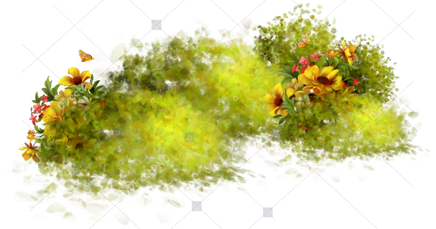 Yellow dried mossy grass