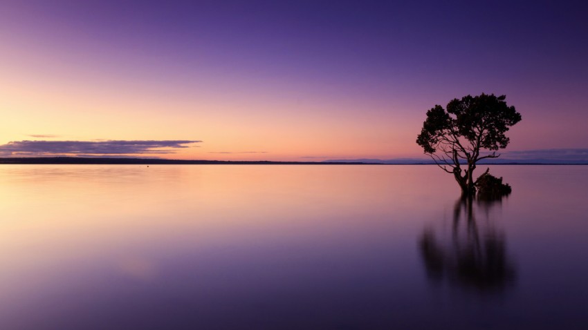 Sunset, Tree, Water image