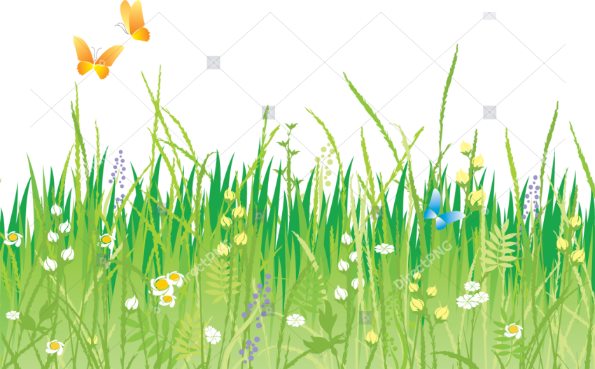 Springtime grass with flowers