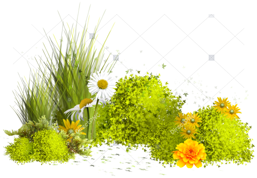 Fantasy grass meadow with flowers