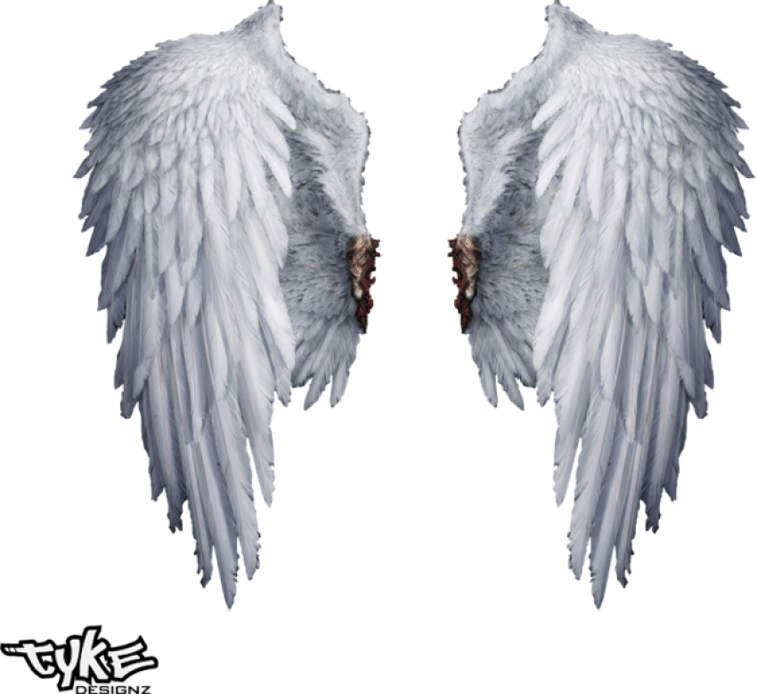 Angel Wings Png Transparent   Transparent Background