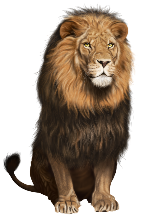 East African lion Felidae Desktop, wild animals, mammal, cat Like Mammal,