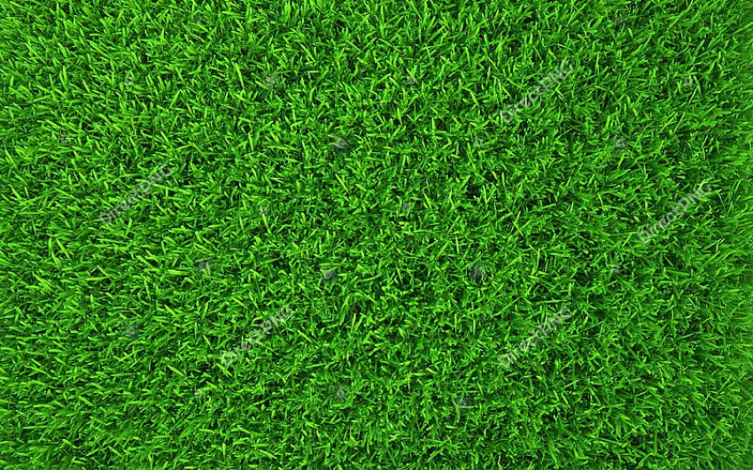 Lush green turf background