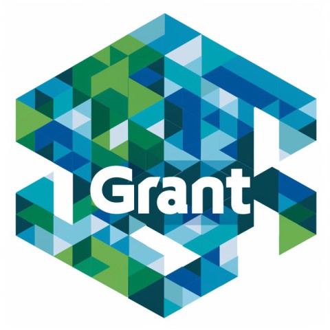 Innovative Grant Logo