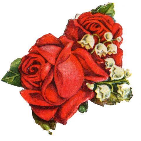 Transparent Vintage Roses Png   Red Rose Transparent Rose Vintage