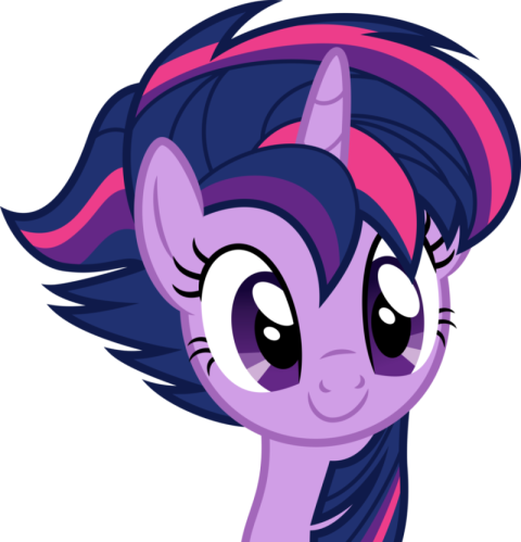 Twilight Sparkle Rainbow Dash Pinkie Pie Rarity Pink