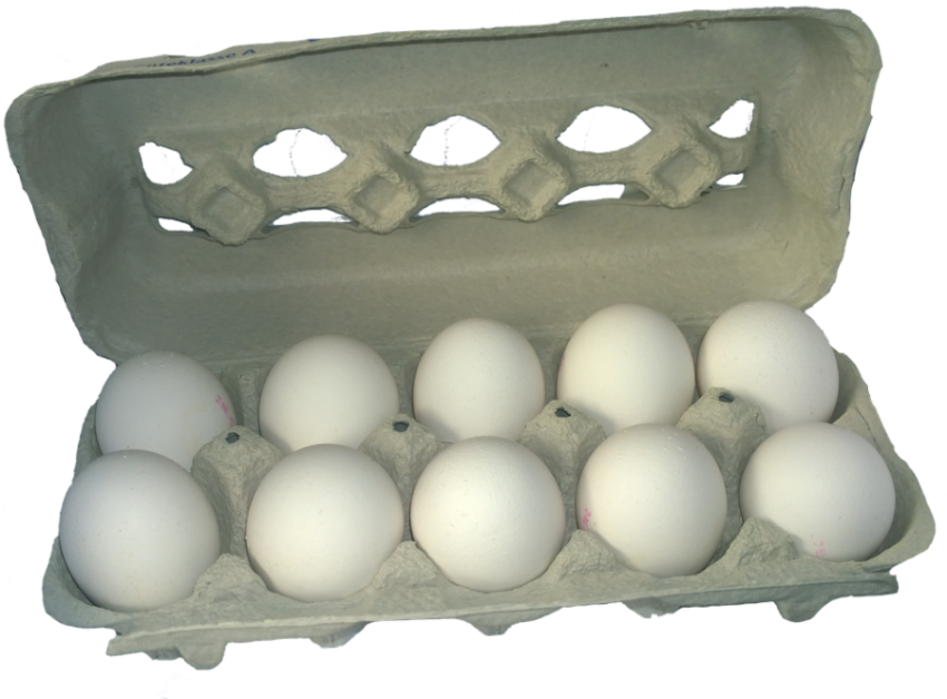 Transparent Egg Carton Clipart   Carton Of Eggs Png