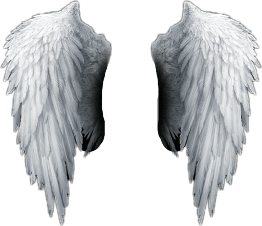 Angel Wings Png Hd , Png Download