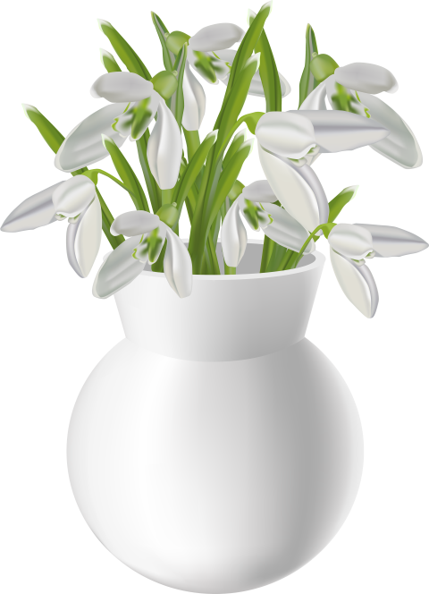 Vase With Snowdrops Transparent Png Clip Art Image