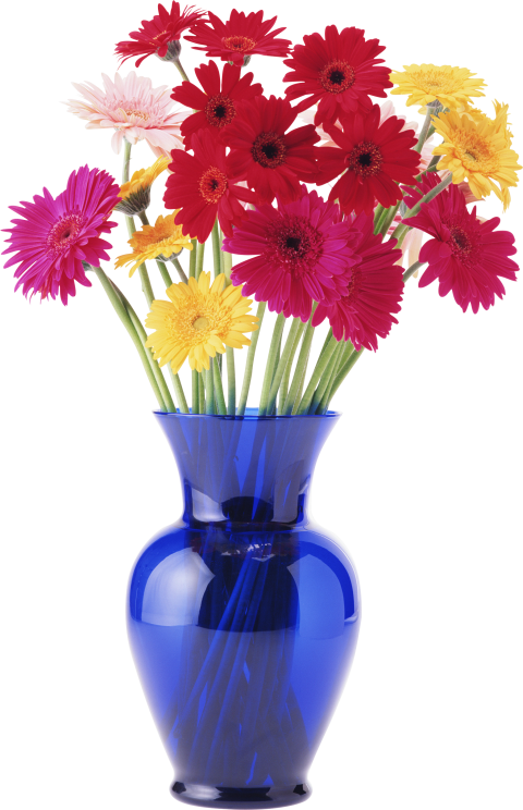 Transparent Vase Of Flowers Png   Flower Vase Png Free