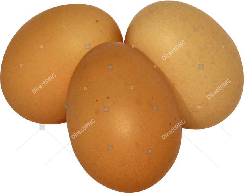 Eggs Png Download   Eggs Png