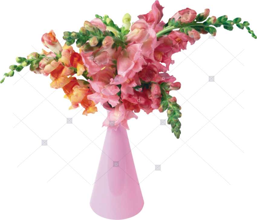 Flower,cut Flower,sweet   Flower Vase Png Transparent