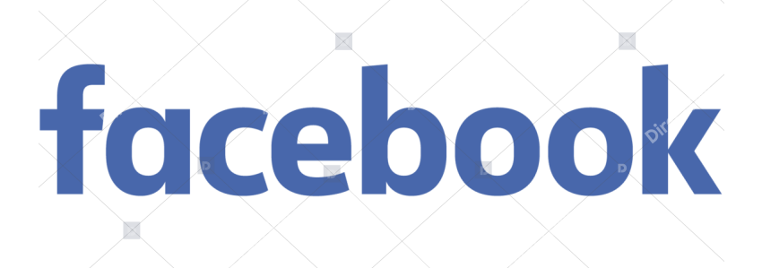 Logo text   Facebook Blue