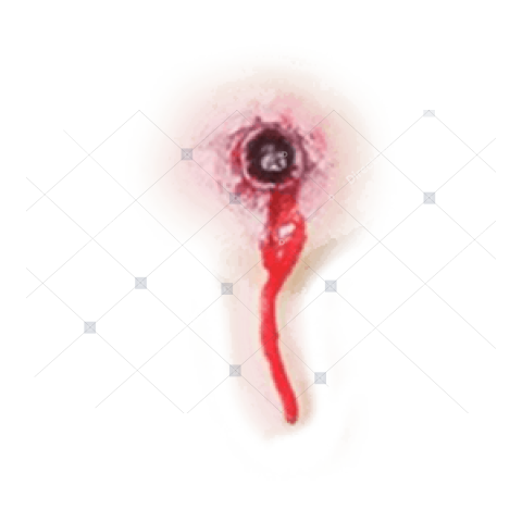 Single Drop Blood PNG Image