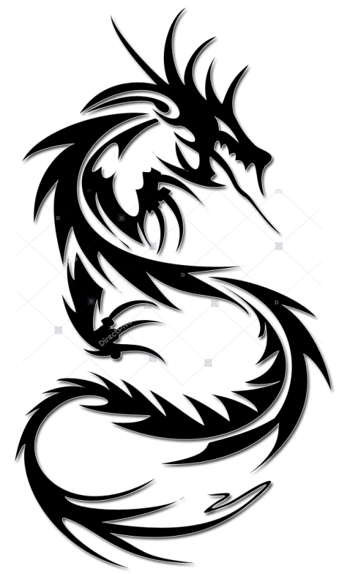 Tattoo dragon png image