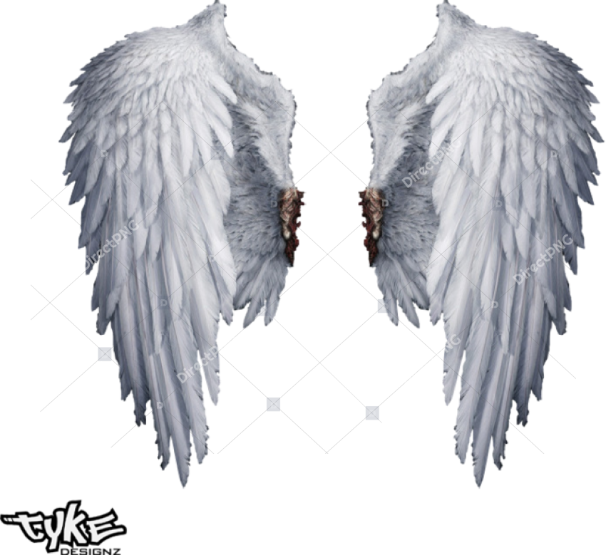 Angel Wings Png Transparent   Transparent Background