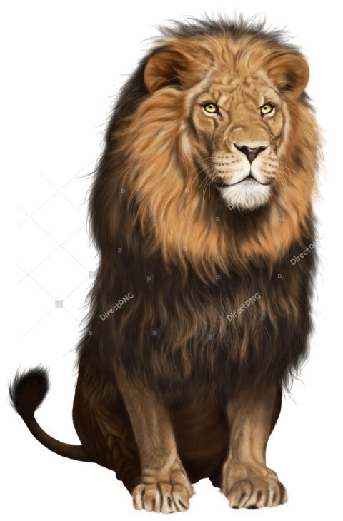 East African lion Felidae Desktop, wild animals, mammal, cat Like Mammal,