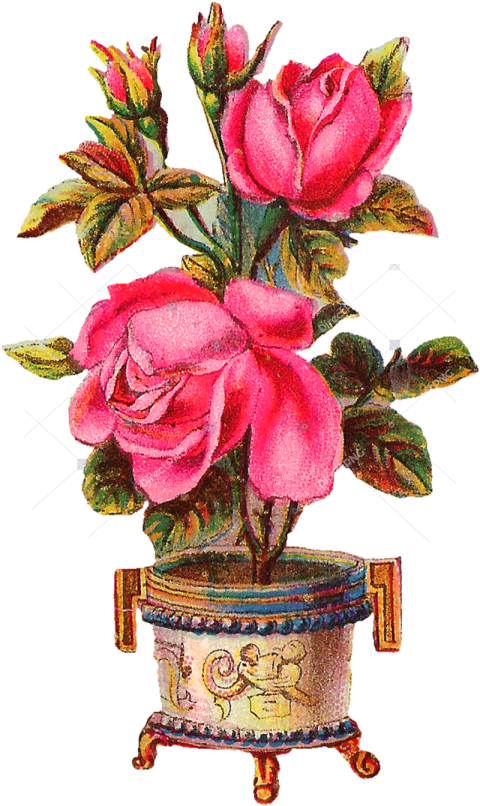 Beautiful Flower Vase Png   Pink Beautiful Flowers Vase, Transparent Png