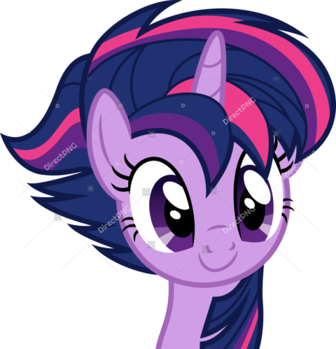 Twilight Sparkle Rainbow Dash Pinkie Pie Rarity Pink