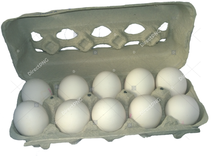 Transparent Egg Carton Clipart   Carton Of Eggs Png