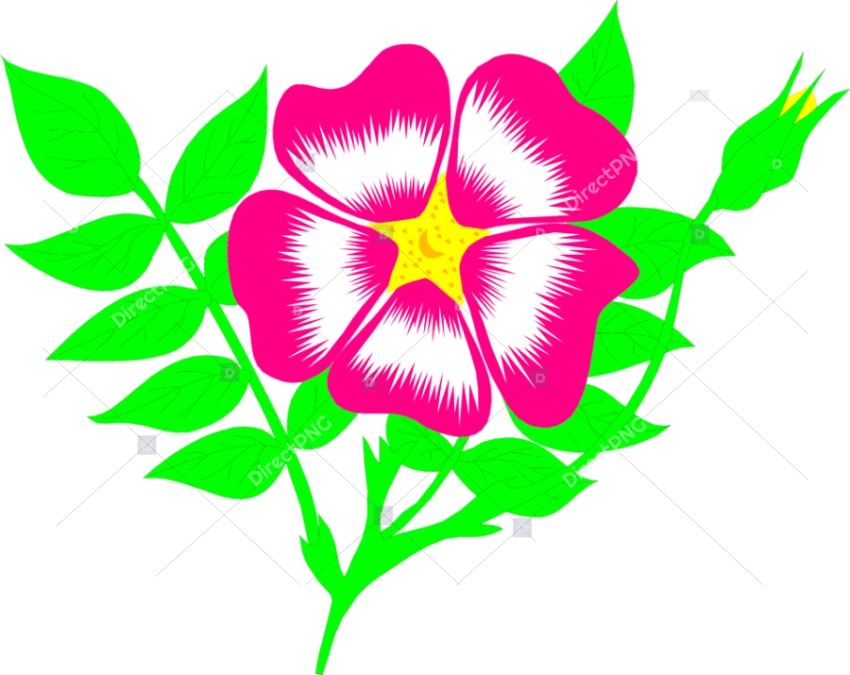 Free Illustrations Download Clip   Flower Animation Png