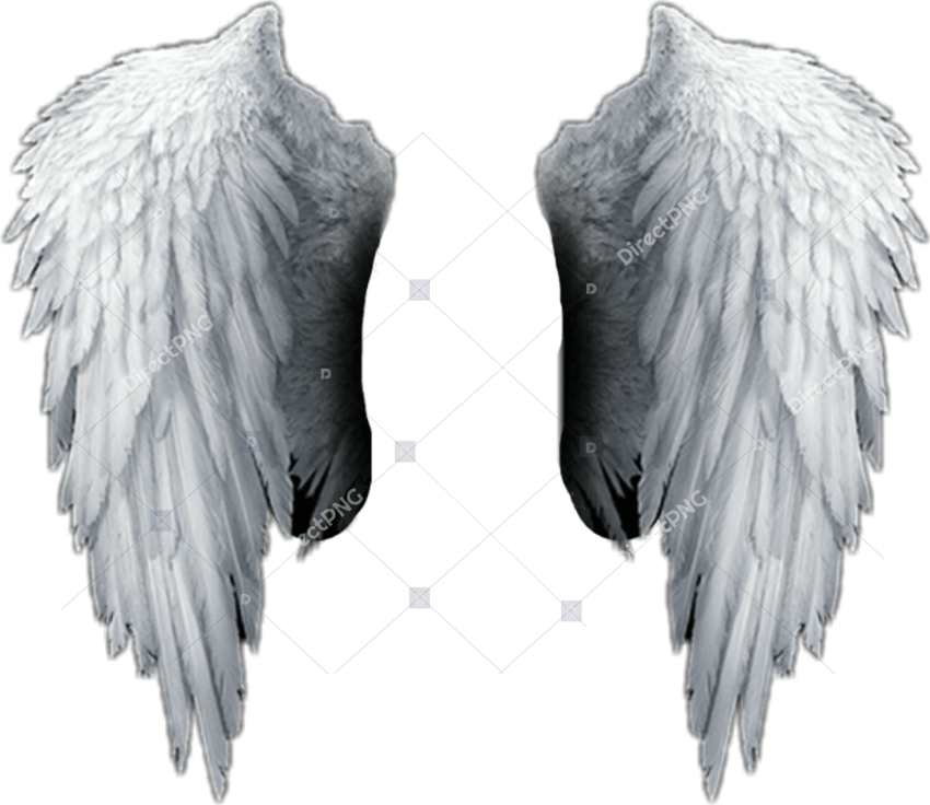 Angel Wings Png Hd , Png Download