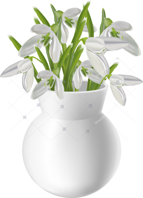 Vase With Snowdrops Transparent Png Clip Art Image