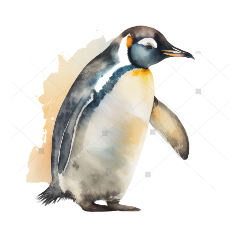 Transparent World Penguin Day   penguin